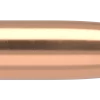 Nosler 6.5mm 140GR Ballistic Tip 50pk - Image 2