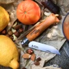 Opinel Traditional Classic Carbon #5 Folder - Image 2