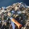 Opinel Traditional Classic Carbon #6 Folder - Image 3