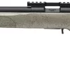 SPRINGFIELD 2020 RIMFIRE 22LR Target SAGE WEB 20" 10 shot - Image 10
